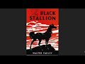 The Black Stallion: Key Concepts