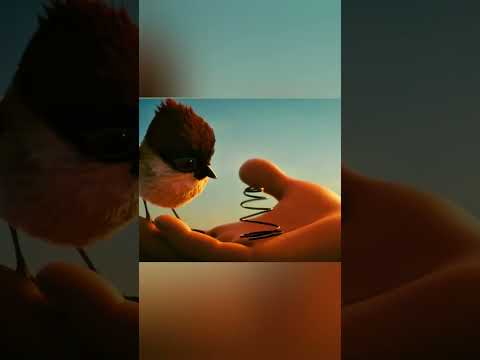 উড়ন্ত বন্ধুত্ব, দোল খাওয়া জীবন #cartoon #animation