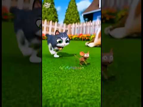 funny cat and mouse