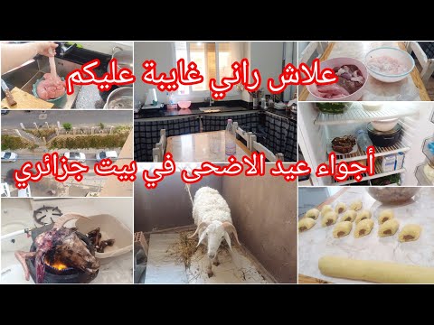 كيفاه جوزت روتين عيد الاضحى🔥 علاش راني نغيب عليكم ⁉️كامل الخدمات تصرالهم هكذا ⁉️