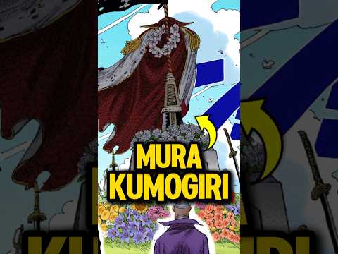 Kenapa Gak Ada Yang NYURI Senjatanya SHIROHIGE?! 🤔 #onepiece #anime