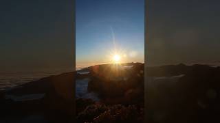 Why we LOVE Madeira! | Meet the Drivers #shorts
