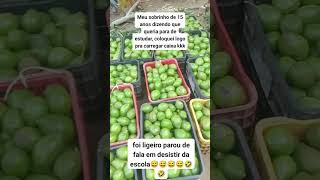 1 de setembro de 2025