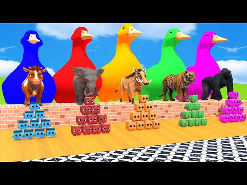 5 Giant Duck Cartoon, Cow, Giraffe, Elephant, Lion, Paint Wild Animals Crossing Fountain Animation