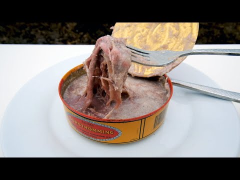 World's Smelliest Food -  EXPIRED SURSTRÖMMING