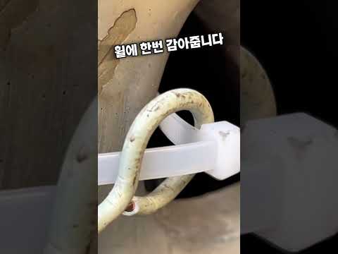 자동차 휠에 고리 쉽게 고정하는 꿀팁!