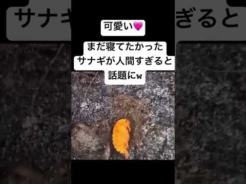 冬の朝起きた時の自分やん　#shorts #reels #instagram