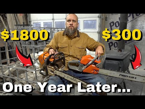 Do Cheap Chainsaws Actually Save You Money