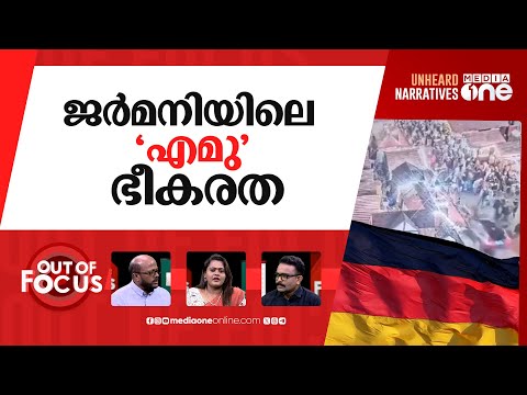 ജർമനിയിലെ ഭീകരാക്രമണം | German Christmas market attack | Out Of Focus