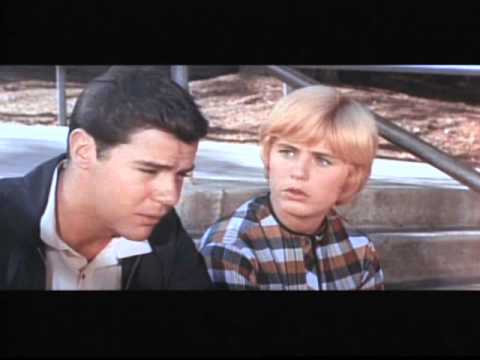 Theatrical Trailer for the 1965 film 