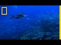 Ocean Conservation and Sustainable Practices