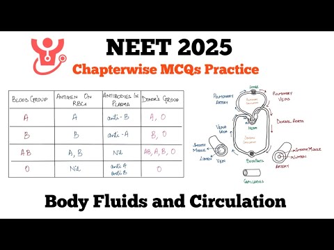 NEET 2025 : Test Yourself 🔥 | Body Fluids and Circulation MCQs 📚 | NEET Biology MCQ Practice 🧠