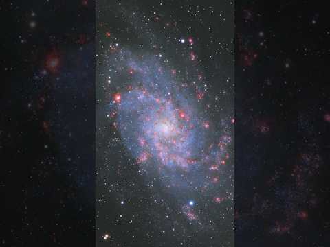 49 hours of exposure of the Triangulum Galaxy (M33) #traingulum #galaxy #space #telescope