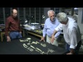 Bipedalism and Ardi's Evolutionary Significance