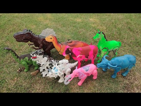 Dinosaur,Elephant,Horse,Cow,Buffalo,รีวิวไดโนเสาร์ช้างม้าวัว