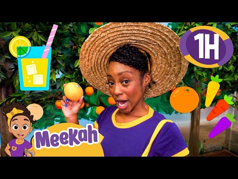 Can Farmer Meekah Count the Healthy Foods? | Educational Videos for Kids | Blippi and Meekah Kids TV