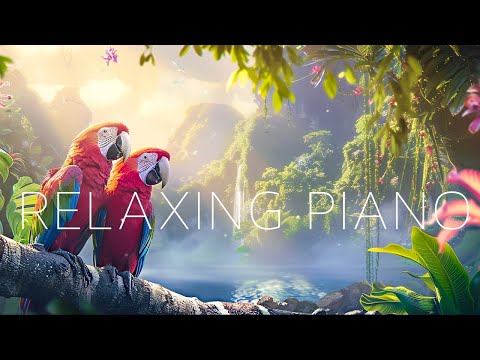 Piano Relaxing Music 🍀 Study Piano Music 🍀 Piano  For Stress Relief 🍀 Music For Studying