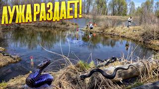 видео