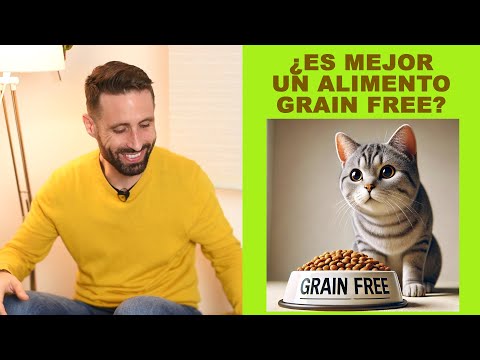 ¿Es realmente necesario que mi gato coma alimento seco grain free?