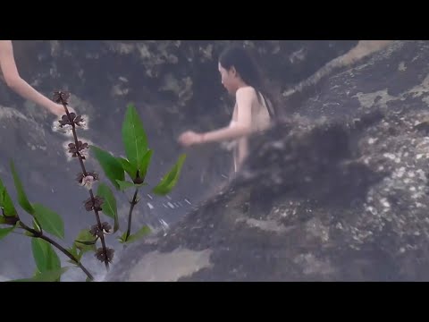 Ngày nóng thành mát - Nhạc vàng trữ tình lưu giữ vẻ đẹp bên biển
