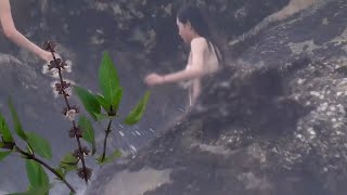 Ngày nóng thành mát - Nhạc vàng trữ tình lưu giữ vẻ đẹp bên biển