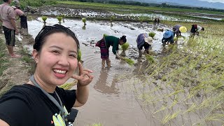 ถ้ารำนาที่ไทย🇹🇭แพงกว่าเชียงตุงจะยอมไปเลยขำๆกับพี่น้องแอน😂🤣