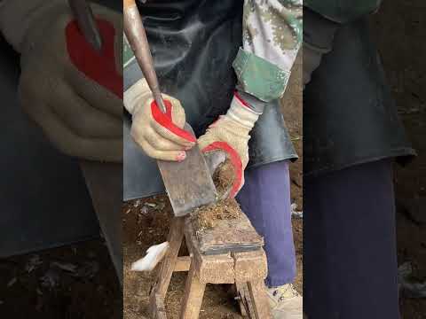 Great hoof trimming video extremely comfortable丨ASMR丨Donkey hoof cutting sound