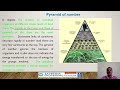 Ecosystem Dynamics and Food Chains