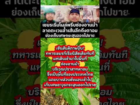 #memes #เปิดค่าการมองเห็น #funnyimages #imagecapture #funneypicture #news #army