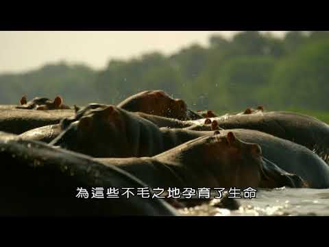  地球的大河之旅 第二集 尼羅河 - YouTube