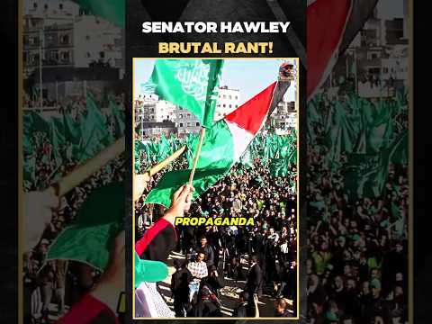 Senator Hawley SHUTS DOWN Pro Hamas Activist #shorts