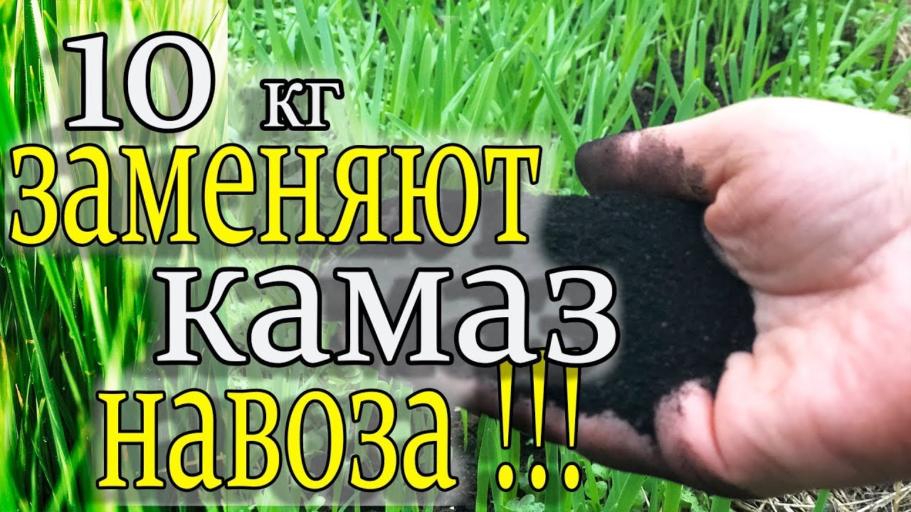 Забудьте про навозэто средство эффективнее в 1000 раз