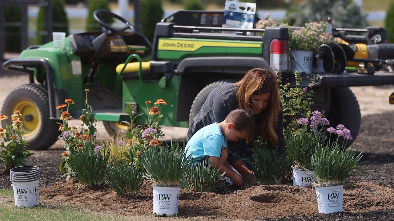 Planting 4 Varieties of Low Maintenance Perennials!