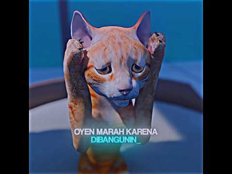 Ketika Oyen Dimarahin Botak😂