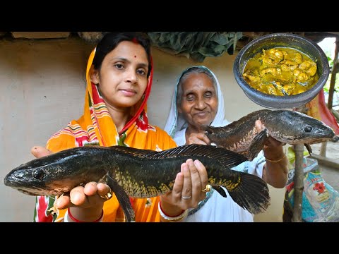 পুকুর থেকে জ্যান্ত পাকা শোল মাছ ধরে মাটির হাড়িতে ভাপা রান্না | Shol fishing & cooking in clay pot