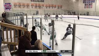 PSU Hburg Lions 1 vs Farmingdale Rams 4 Mar 18, 2022