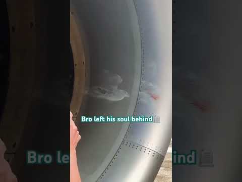 Bro left his soul behind😱 #aviation #bird #enging #flying #travel #qccident #wingsworld #wingbird