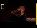 Exploring the Cave: Snakes and Surprises