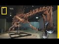 Spinosaurus: The Aquatic Dinosaur