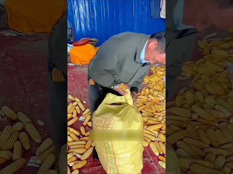 끈 없이 1초 만에 자루 묶는 마법 😲