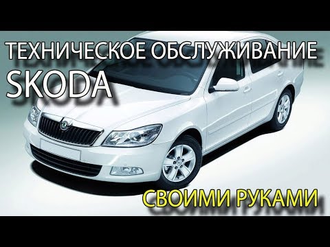 Техническое обслуживание автомобиля своими руками ТО Skoda Octavia своими руками