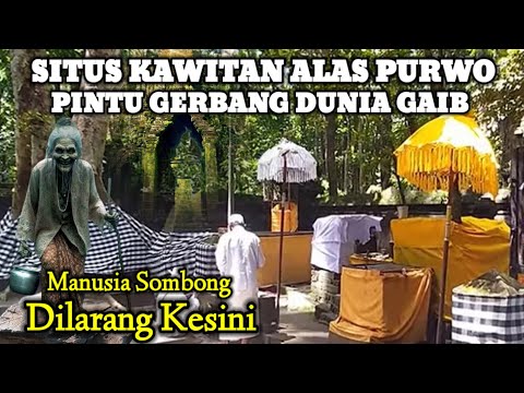 Ngeri !! Terasa Masuk Dunia Gaib Suasana Malam Hari Di Situs Kawitan Alas Purwo Banyuwangi