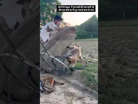 दोनों के fight में एक बच्चे की जान चली गई और एक बच्चे का पैर टूट गया है कमर के पास🙂