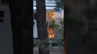 Spiders🕷️ Trish says, “Burn it! Burn the whole unit!!” Who knew spiders sounded like kermit!?!