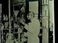 Peanut Agriculture and History