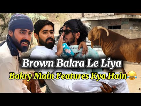 Brown Bakra Lena Mama😂| Bakra Eid Ke Liye Bakra Leny Gaye Chaly😂