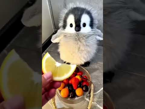 #so cute video 🥰❤️#shorts video 😍