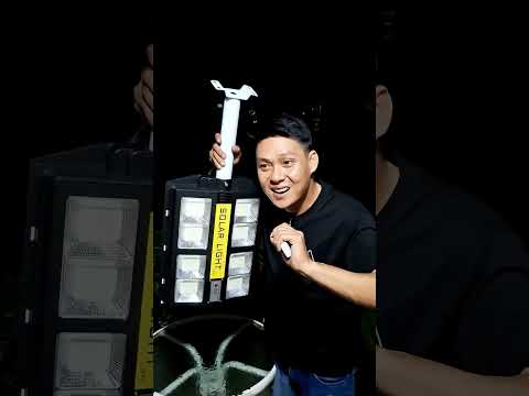 lampu jalan tenaga surya