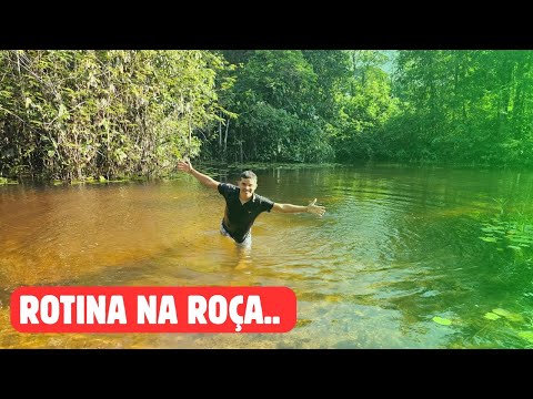 O DIA AMANHECEU: COMO É MINHA ROTINA NA ROÇA🤣
