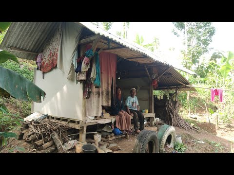 Tangguh !! Satu Keluarga Bertahun Tahun Tinggal Di Rumah Reyot Hampir Roboh Di Pinggir Hutan